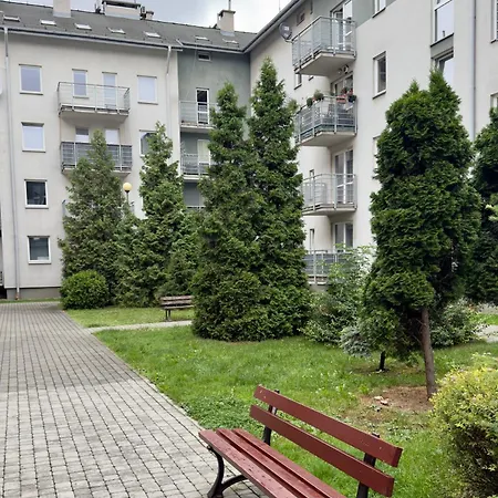 Krakow Nest-3